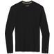 Smartwool Thermal Merino 250 Crew Men's SW SW016350.001-S фото 2